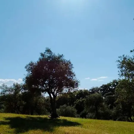 Cortijo Rural Flor De Cazalla Cazalla de la Sierra